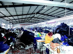 一個濱州人的服裝企業夢