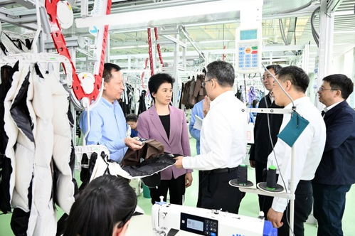 黑龍江省農(nóng)產(chǎn)品精深加工業(yè)高質(zhì)量發(fā)展推進(jìn)會議在綏化海倫市召開