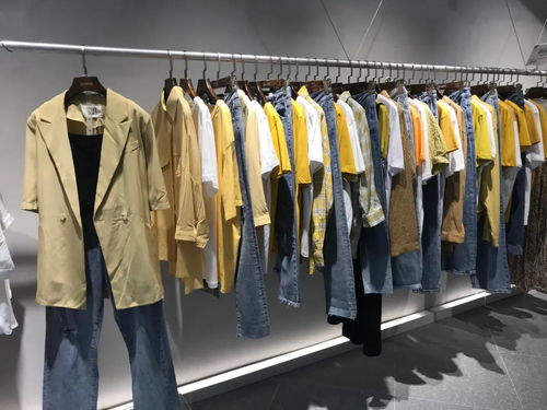 DBZ獨辮子服飾2020終端形象再升級，煥新體驗引領潮流風尚